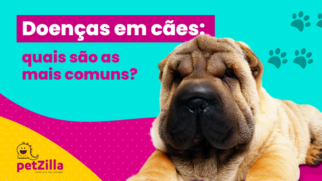 Doenças em cães: quais são as mais comuns? | petZilla