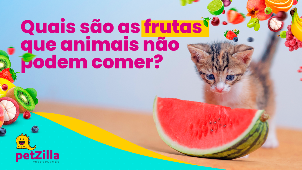 Quais são as frutas que animais não podem comer? | petZilla