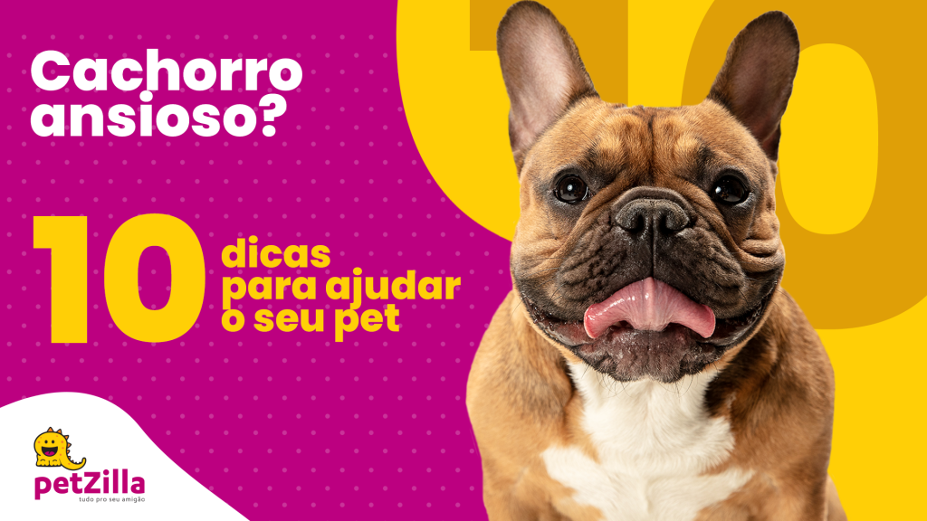 Cachorro ansioso | petZilla