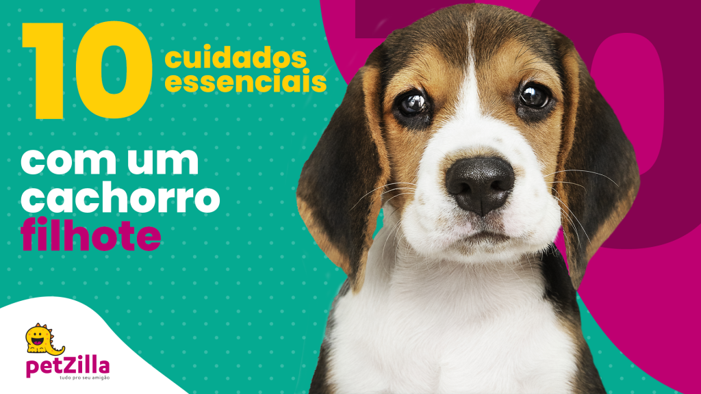 Cuidados com cachorro filhote | petZilla