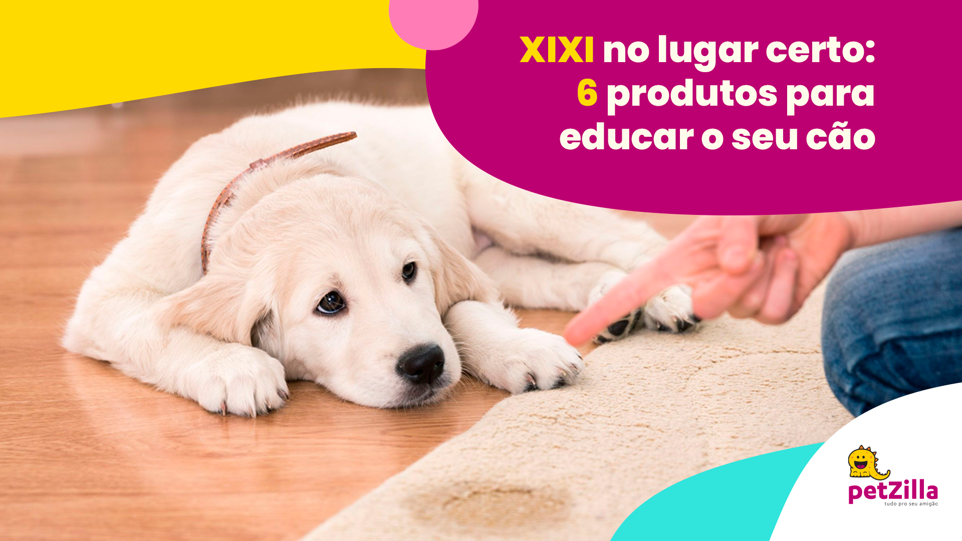 Xixi no lugar certo: 6 produtos para educar o seu cão