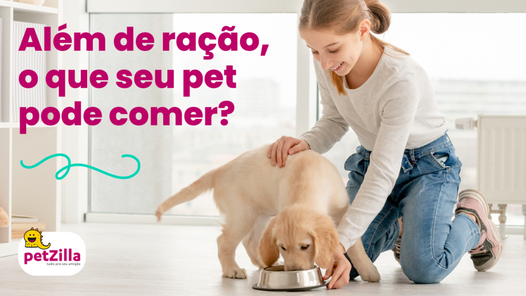 mulher oferecendo alimentos para seu cão em uma tigela