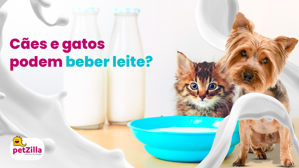 Cão e gato perto de um pote cheio de leite, rodeados por garrafas de leite e olhando para frente. Na esquerda, o seguinte texto: "Cães e gatos podem tomar leite?"